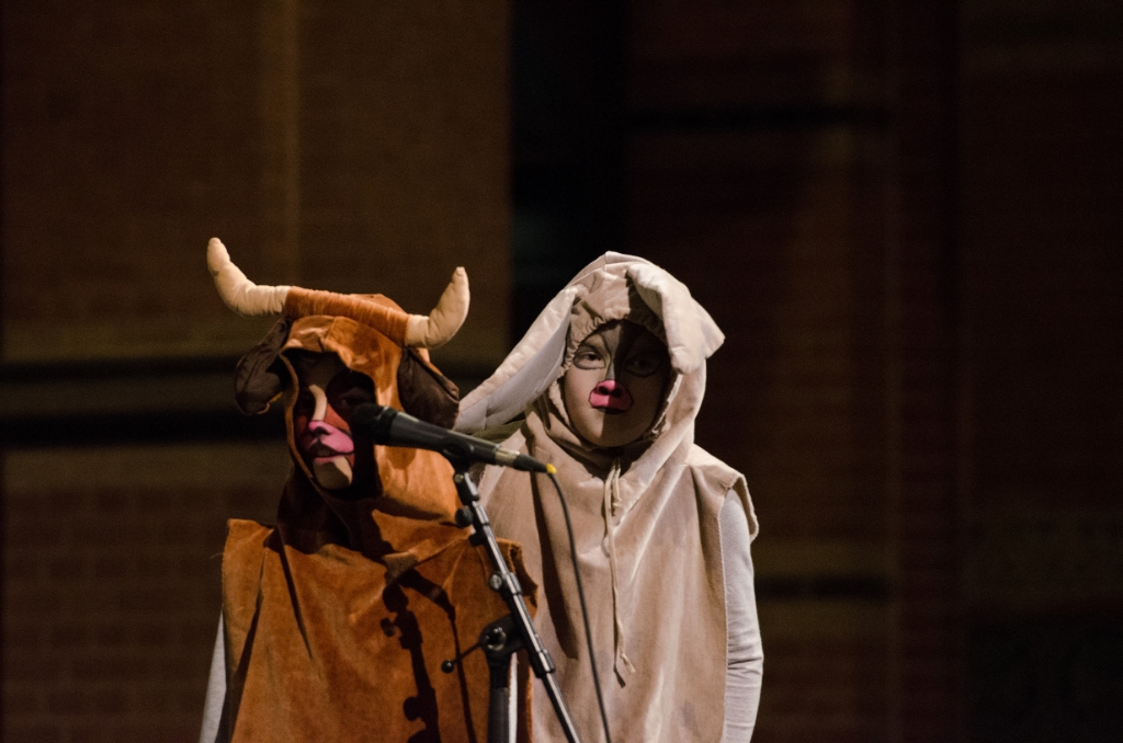 HerdertjesMis 2015-78.jpg